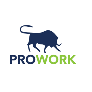 Cu29 - prowork logo